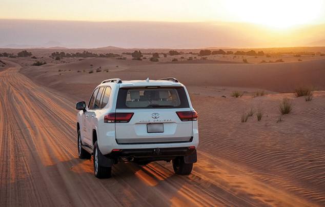 Evening Desert Safari in Dubai - Private Vehicle